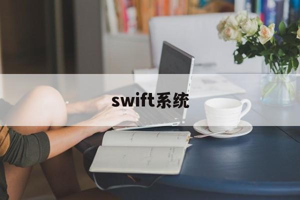 swift系统(SWIFT系统MT103报文)